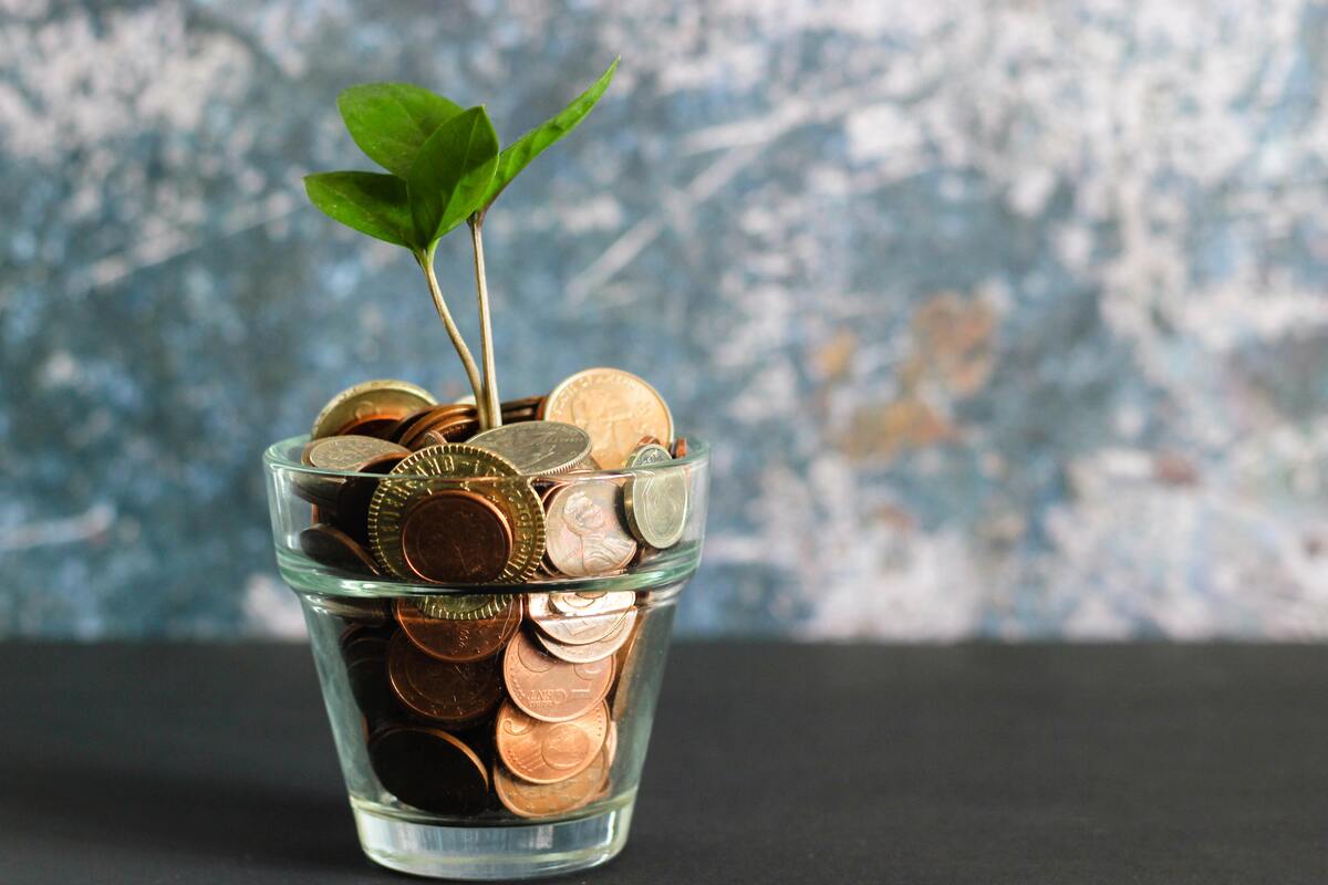 Growing your business through Money Saving Incentives